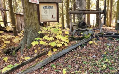 Mining In The Cariboo Of British Columbia